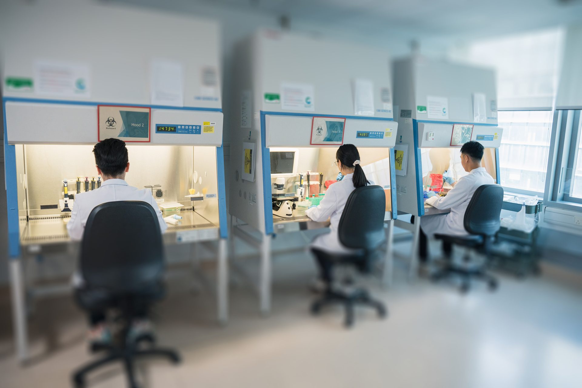 Scientists in white lab coats work at individual biosafety cabinets in a clean laboratory.