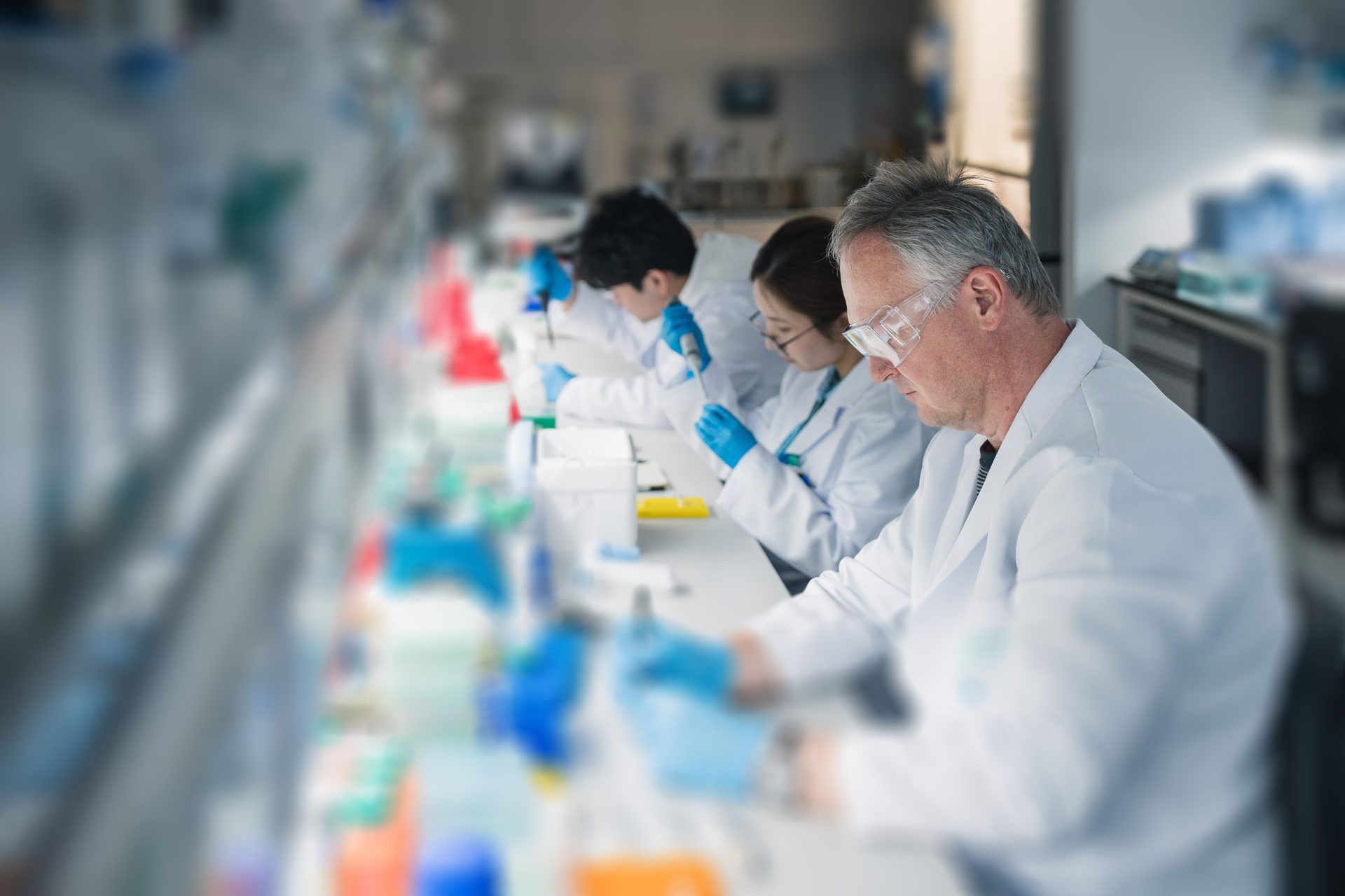 Scientists in lab coats and safety glasses work with pipettes at benches in a bright laboratory.