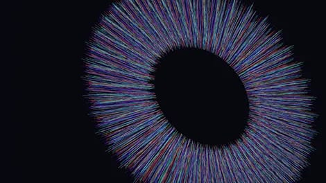 Purple, Eyelash, Violet