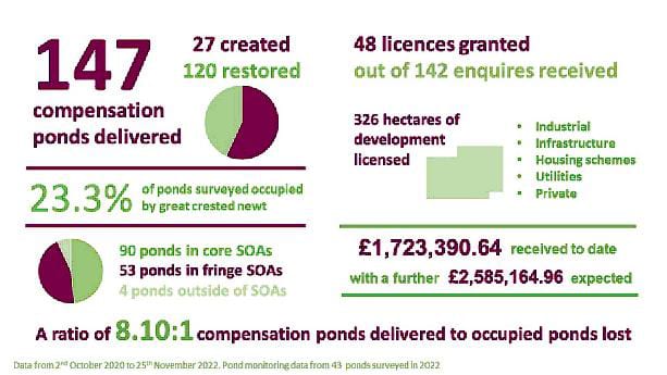 An infographic showing the headline stats from the scheme&#x2019;s first two years of operation from the second of October twenty twenty to the twenty fifth of November twenty twenty two. Text as follows: One hundred and forty seven compensation ponds delivered, twenty seven created, and one hundred and twenty restored. Twenty three point three percent of ponds surveyed occupied by Great Crested Newts. Ninety ponds in core SOAs, fifty three ponds in fringe SOAs and four ponds outside SOAs. A ratio of eight point ten to 1 compensation ponds delivered to occupied ponds lost. One hundred and forty two enquiries received, forty eight licences granted. Three hundred and sixty two hectares of development licensed. 