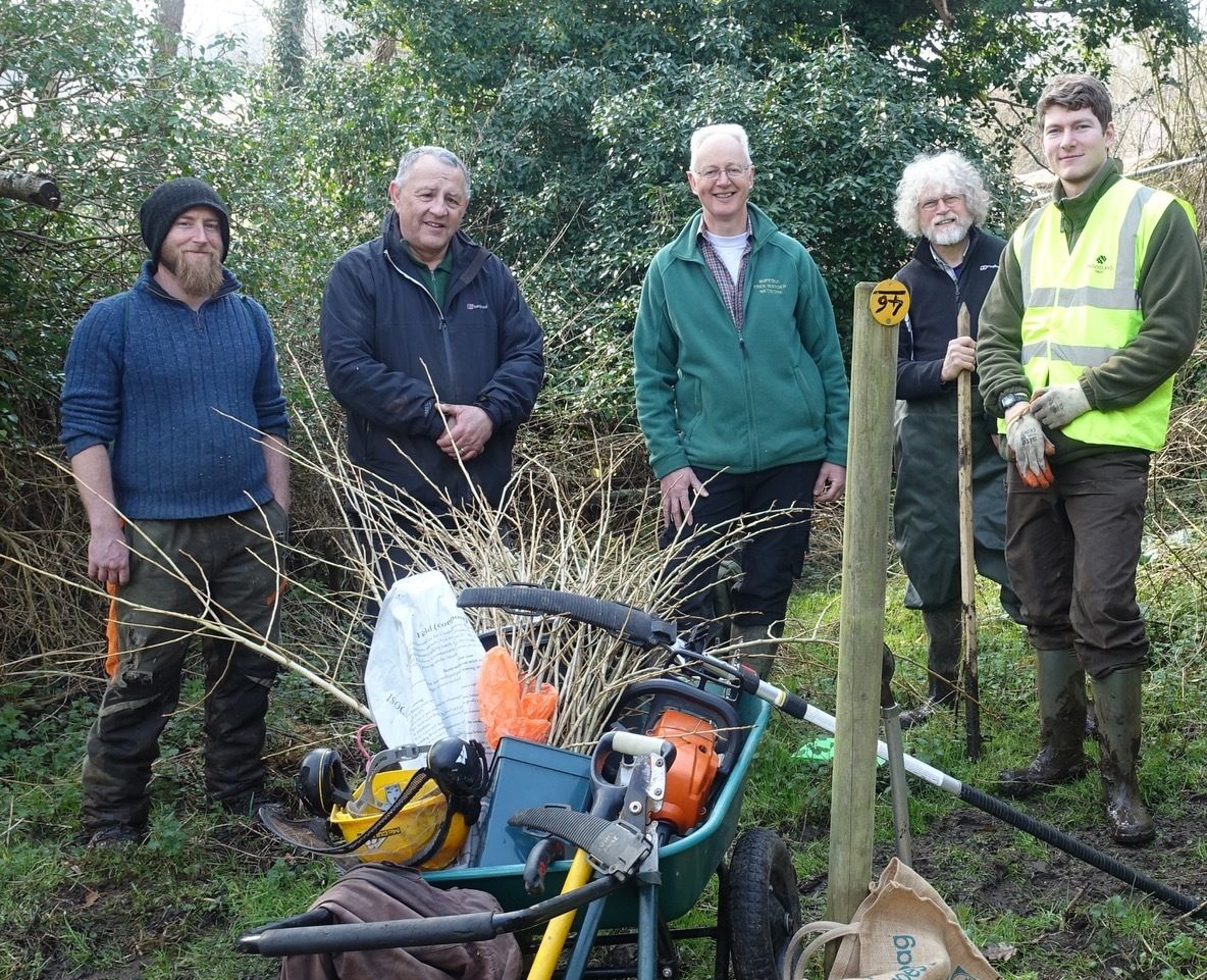 Motor vehicle, Plant, Stretcher, Tree, Grass, Jacket