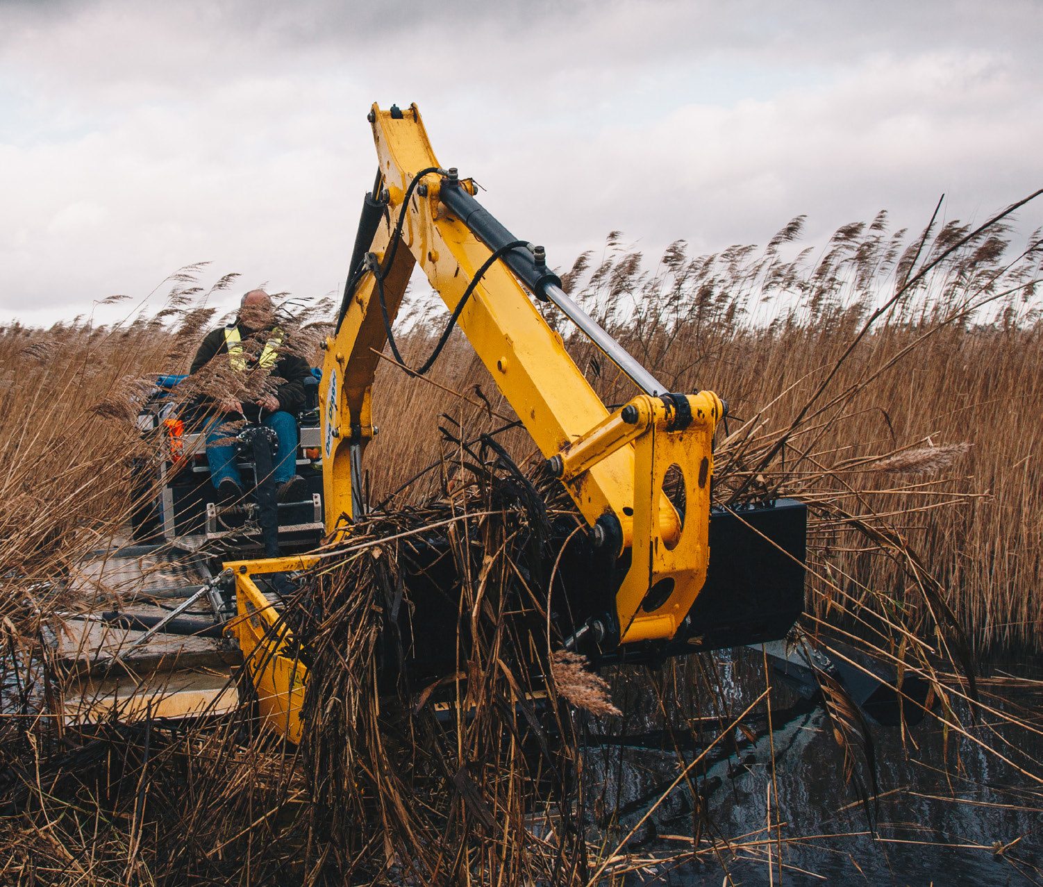 A specialist wetland excavator clearing a reedbed