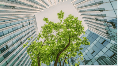 Tower block, Urban design, Building, Daytime, Property, Botany, Leaf, Vegetation, Biome, Condominium
