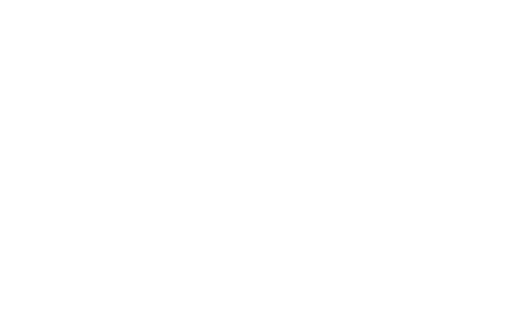 msv logo