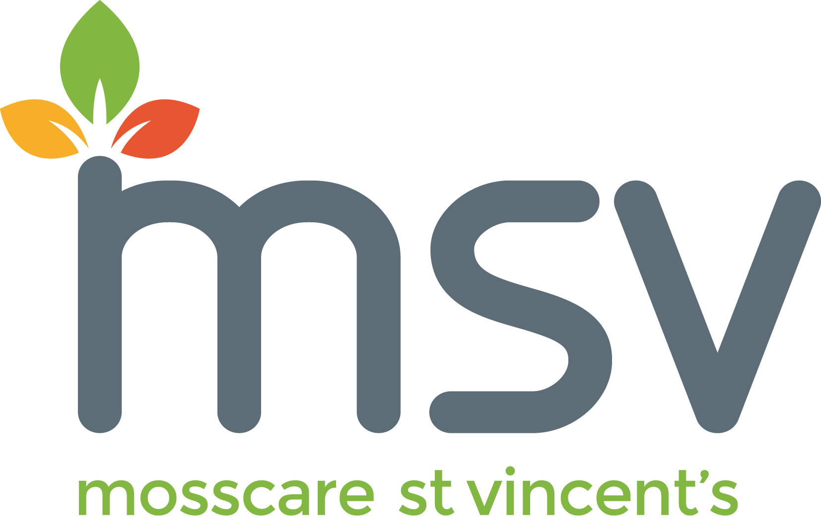 MSV logo