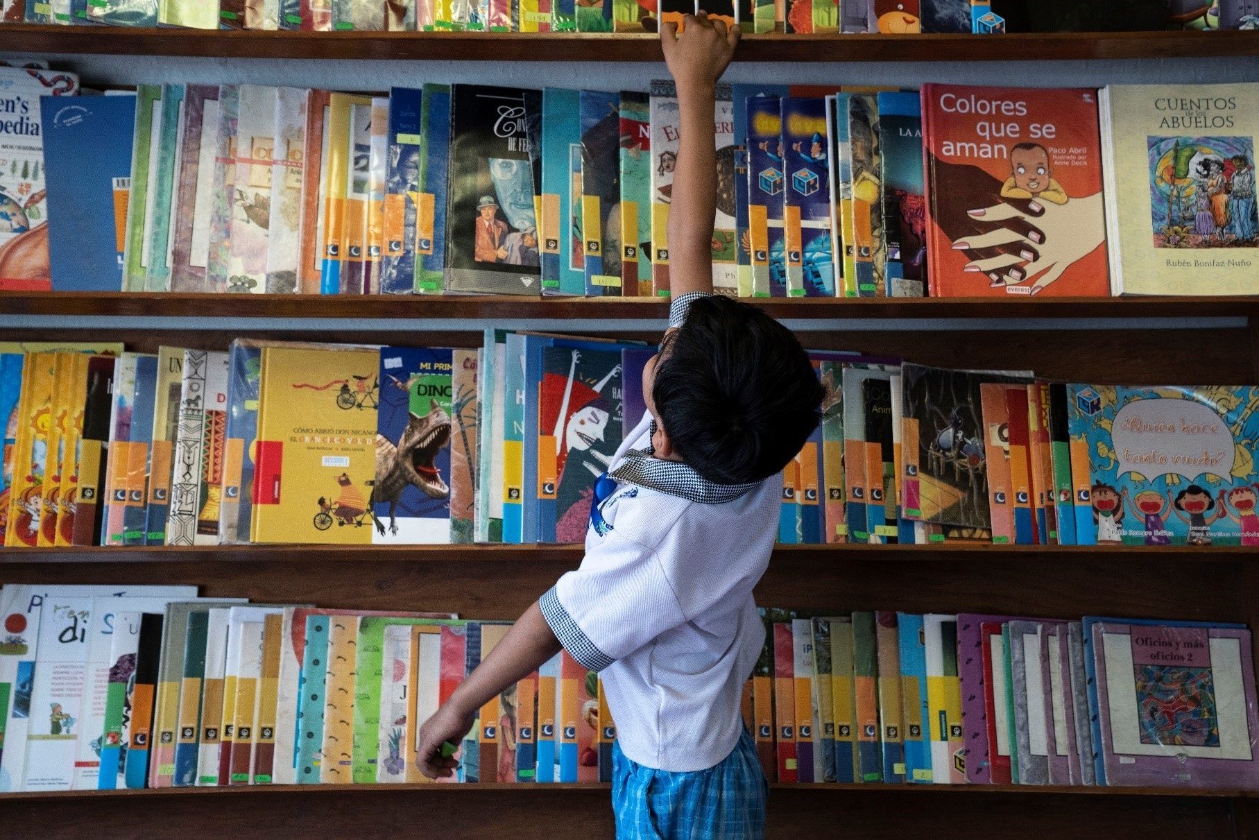 Bookcase, Shelf, Photograph, Furniture, Book, Publication, Shelving, Retail