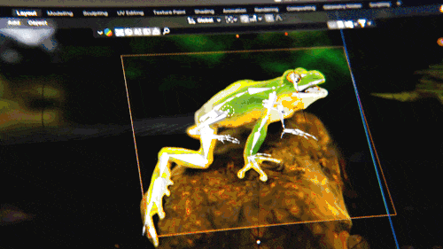 Display device, True frog, Amphibians