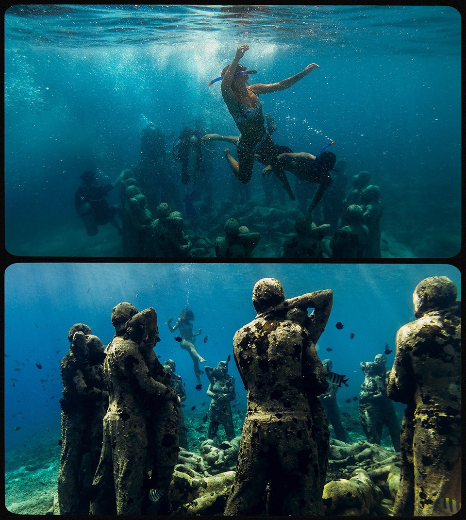 Underwater diving, Water, Green, Vertebrate, World, Organism