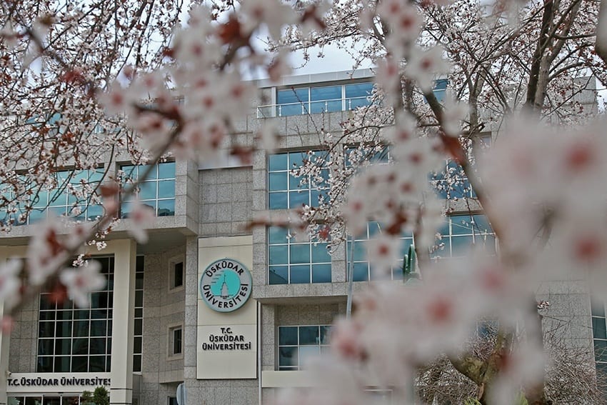 Flower, Building, Plant, Window, Twig, Tree