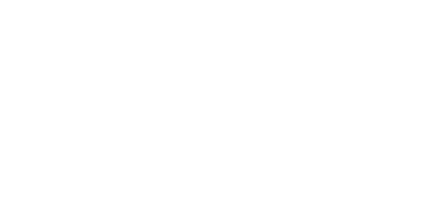 University of Chester logo: white text and crest on a green background.