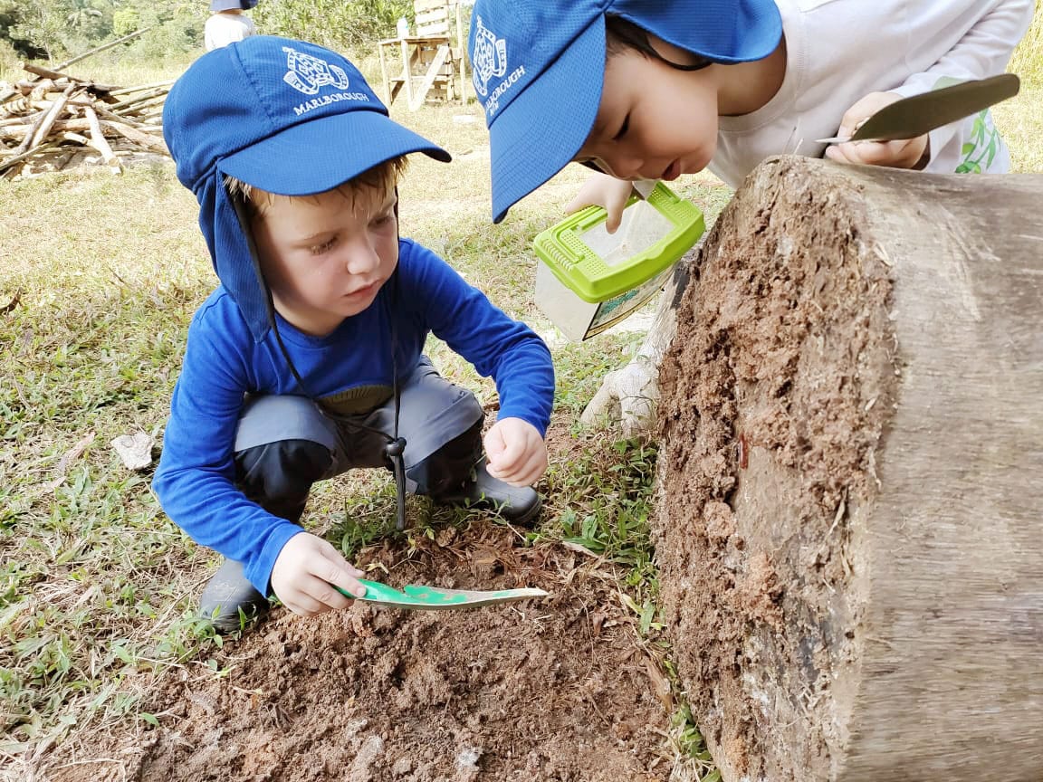 People in nature, Baseball cap, Garden tool, Plant, Grass