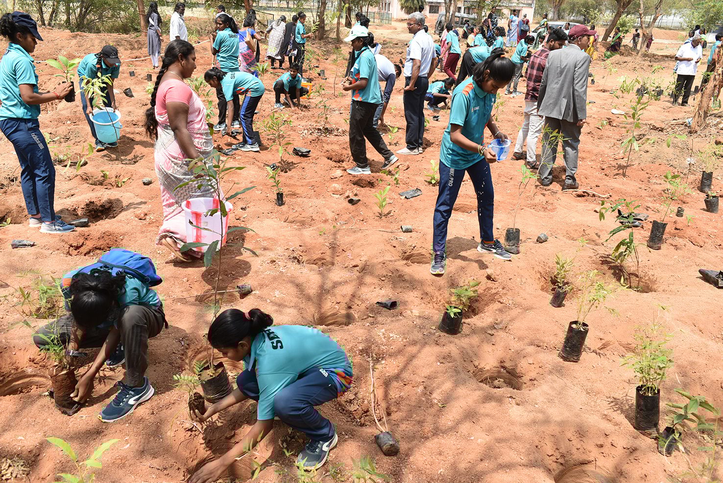 People in nature, Plant, Green, Tree, Leisure