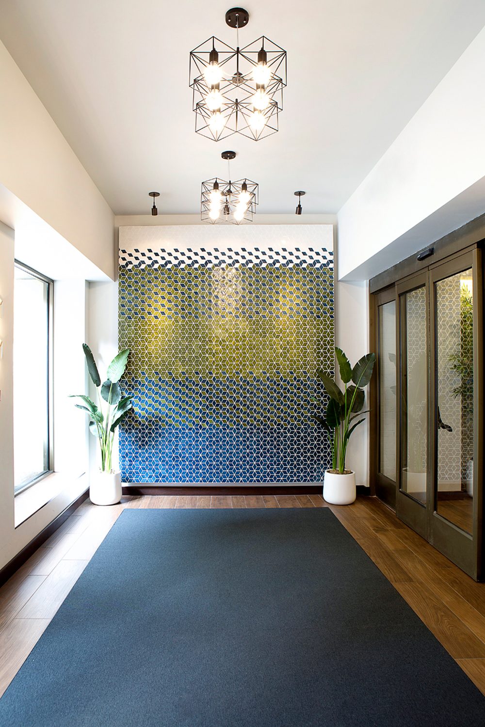 Interior design, Building, Plant, Fixture, Wood, Shade, Architecture, Flooring, Floor, Hall