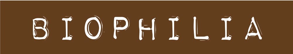 Material property, Product, Wood, Font, Rectangle