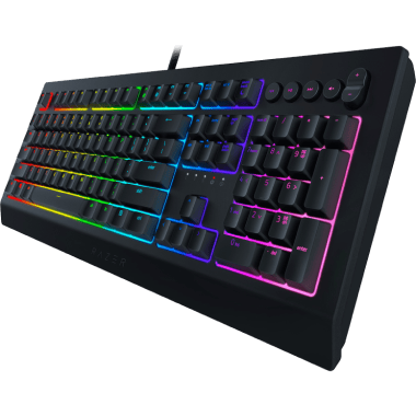 Input device, Space bar, Computer keyboard, Musical instrument, Peripheral, Rectangle, Purple