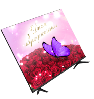 Greeting card, Petal, Pollinator, Purple, Rectangle, Pink, Violet, Insect, Font