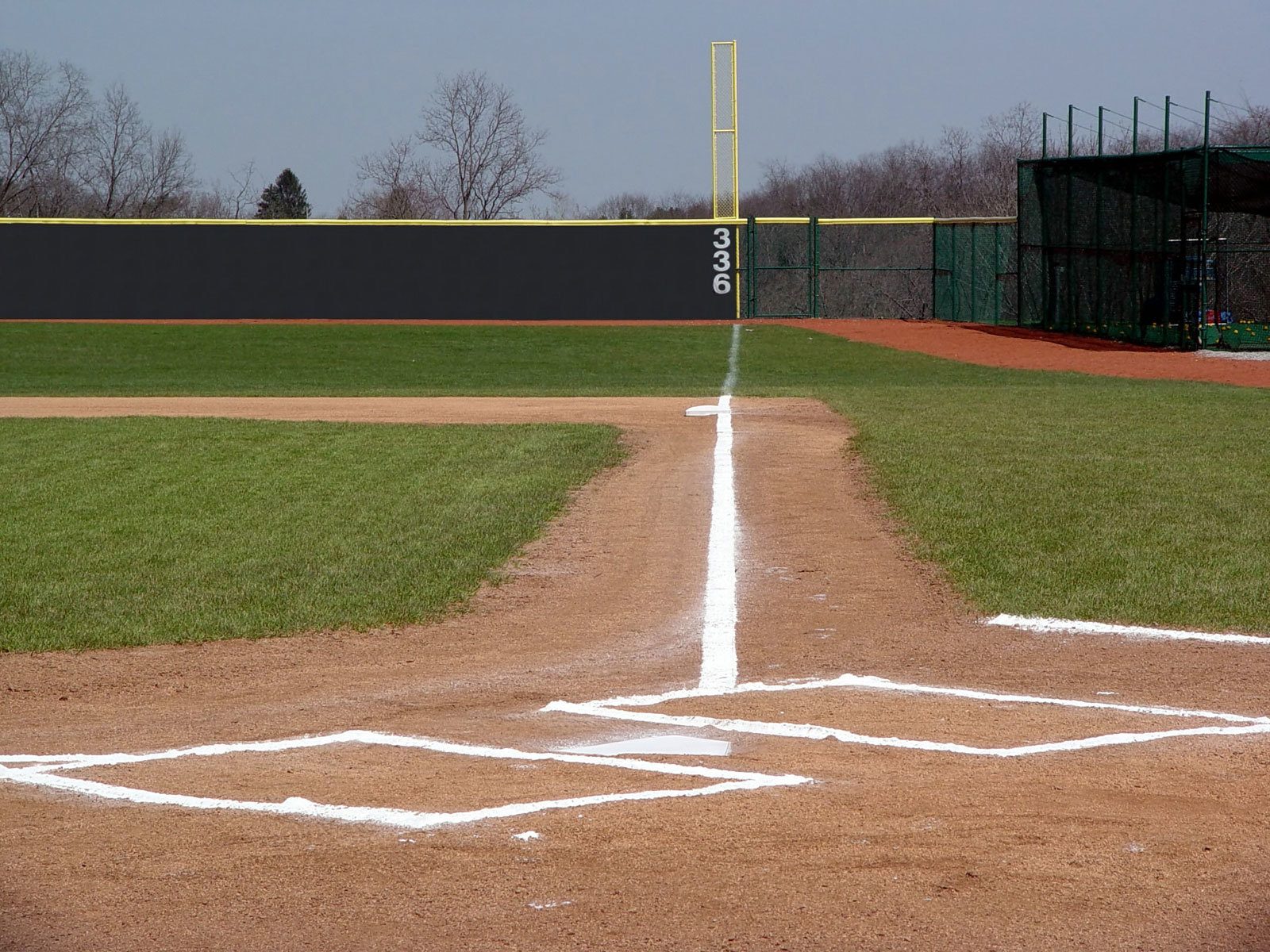 Baseball park, Bat-and-ball games, Sky, Plant, Grass, Tree