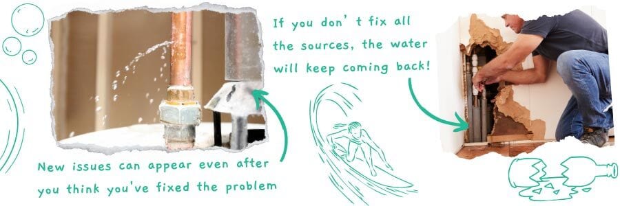 Table, Plant, Font, Aqua