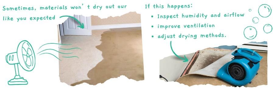 Organism, Font, Wood