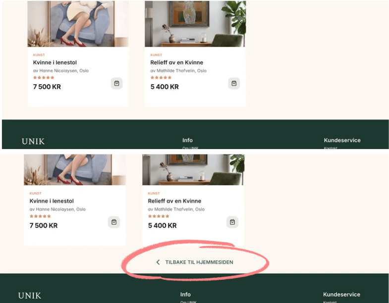 Screenshot of an online art store showing product cards for artworks and a highlighted 'Back to homepage' button.