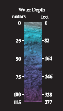 Communication Device, Font, Gadget