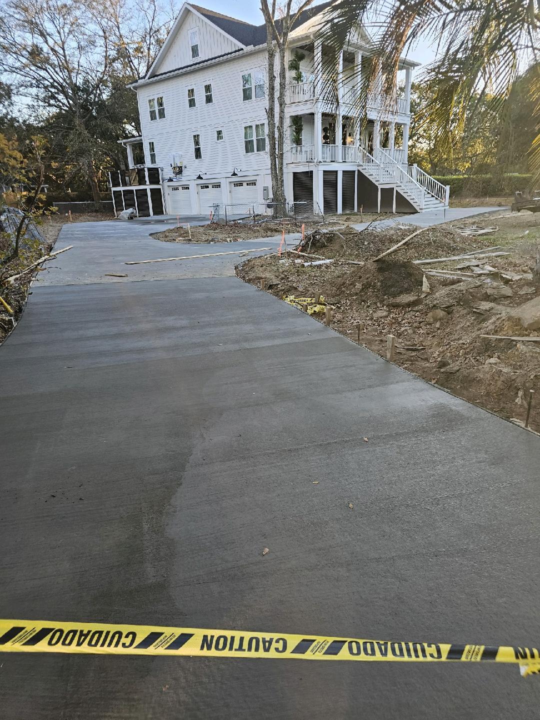 Road surface, Building, Window, Asphalt, Tree, Plant