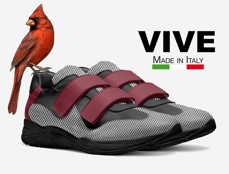 Northern Cardinal, Walking shoe, Font, Bird, Sportswear, Cleat