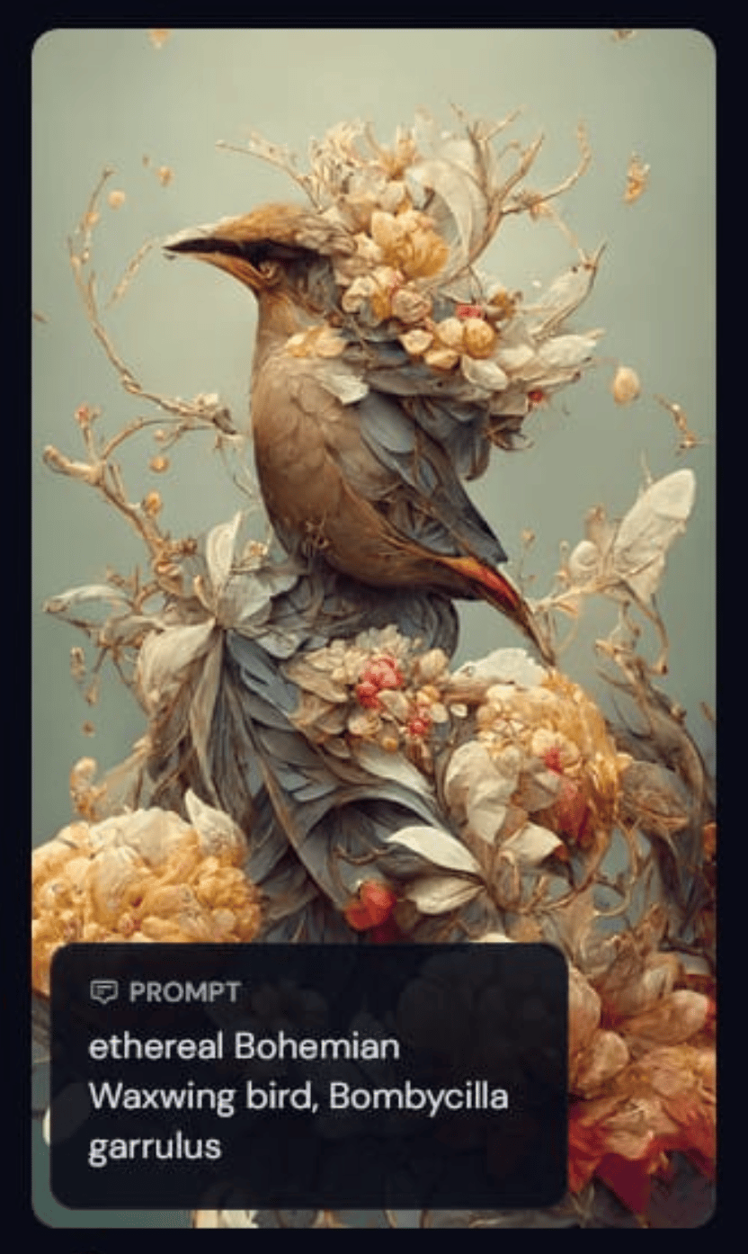 Picture frame, Flower, Bird, Plant, Art