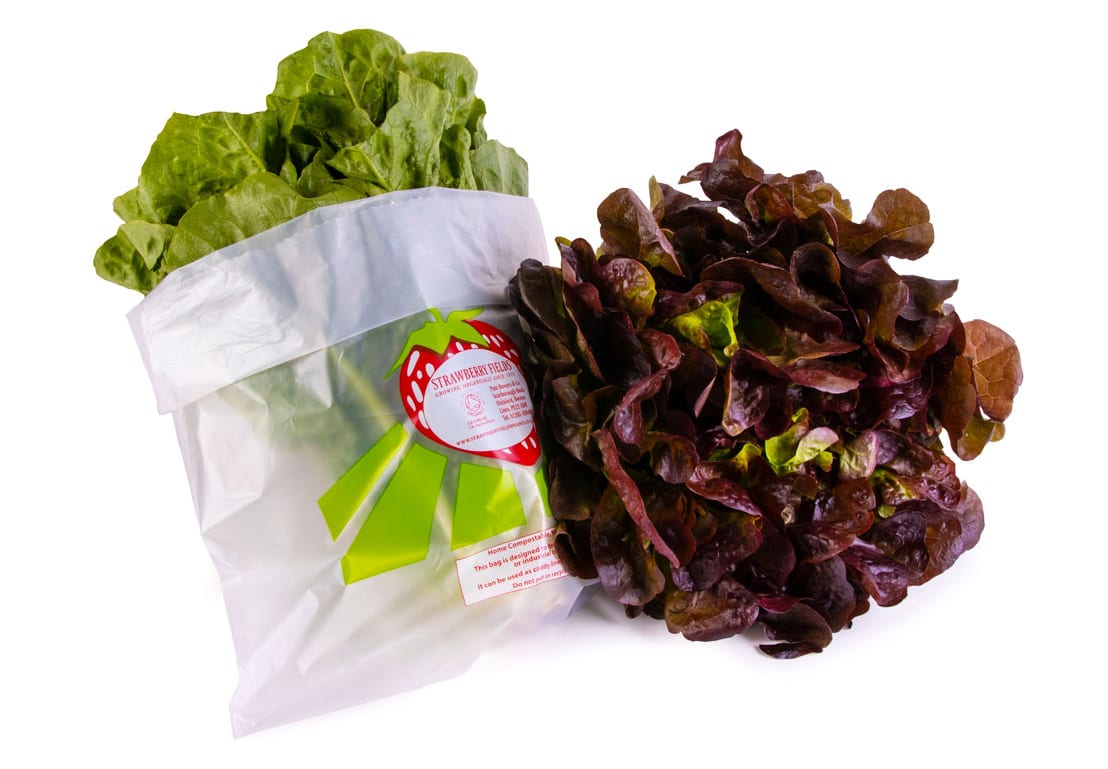 Leaf vegetable, Food, Plant, Ingredient