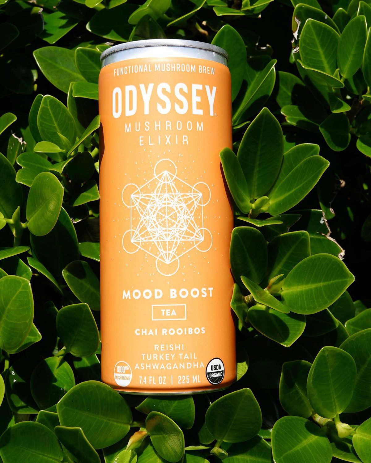 Odyssey Mood Boost