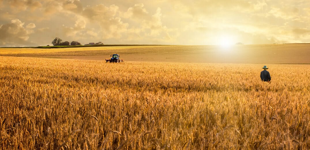 Nestle Wheat Release Image