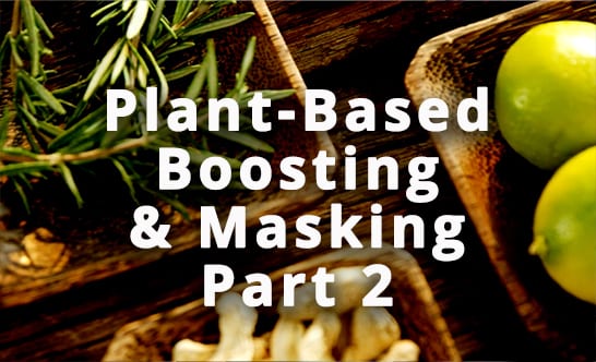 Terrestrial plant, Wood, Organism, Recipe