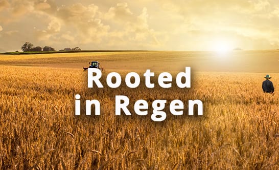 People in nature, Natural landscape, Sky, Cloud, Ecoregion, Plant, Happy, Gesture, Agriculture, Font
