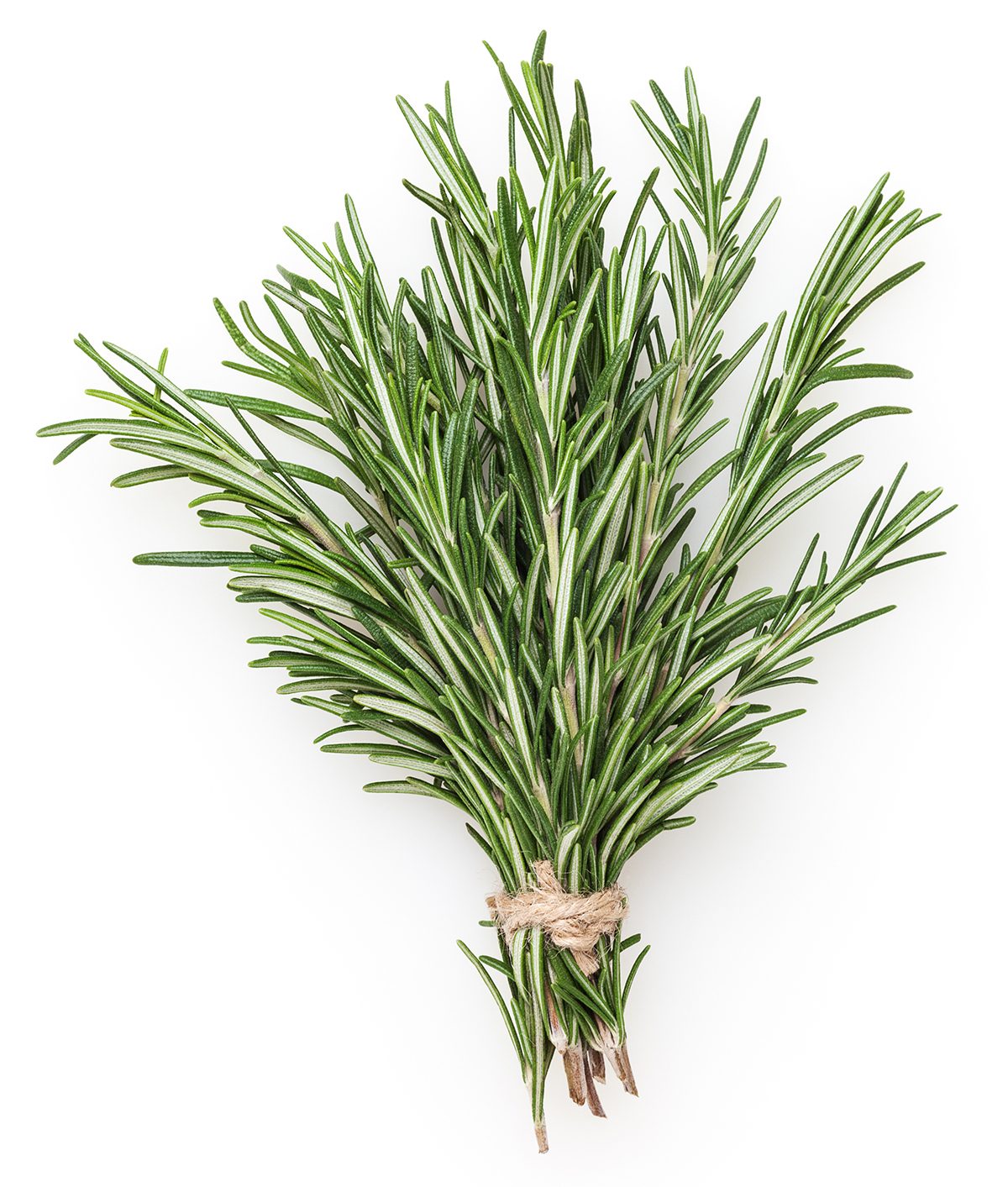 Rosemary Blue California Inc