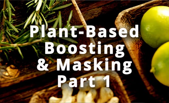 Terrestrial plant, Food, Wood, Organism, Recipe