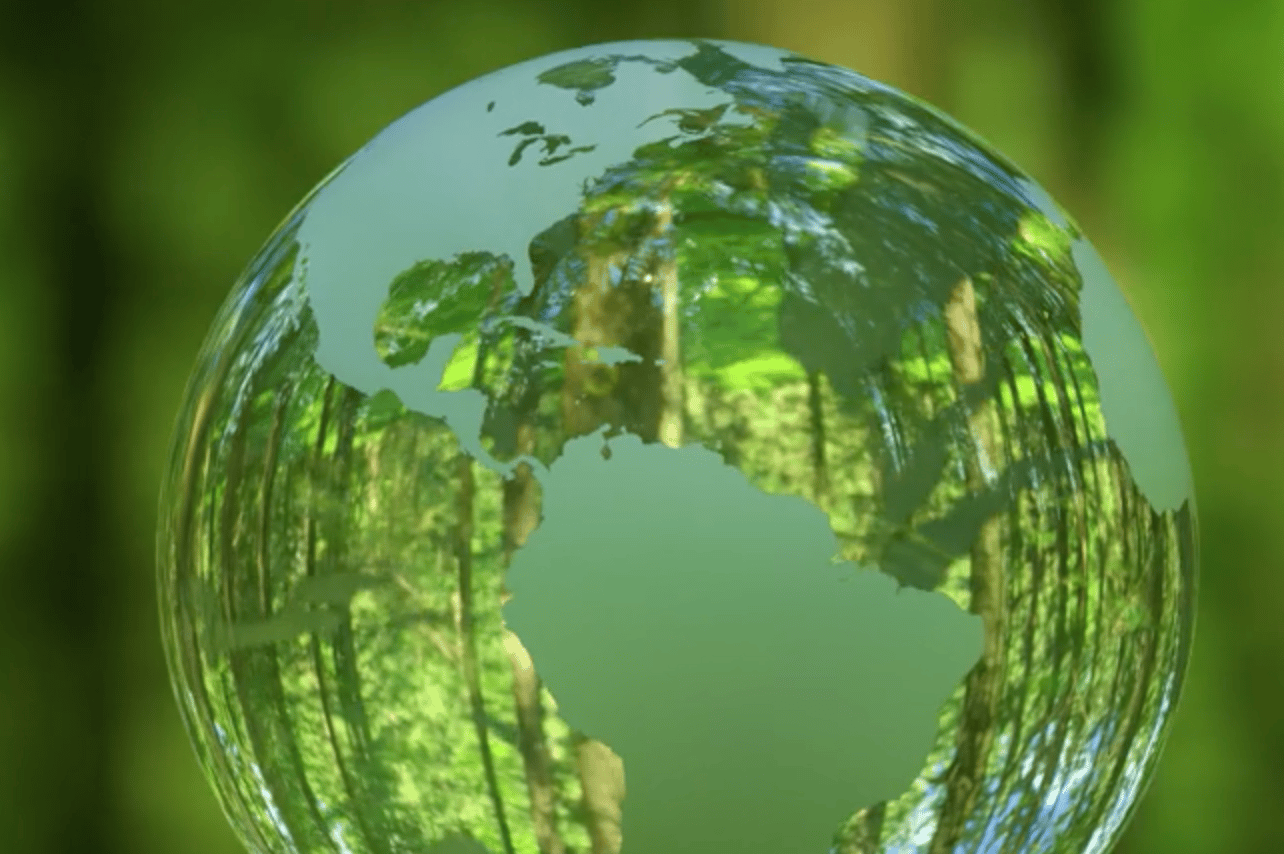 Terrestrial plant, Water, Liquid, World, Vegetation, Grass