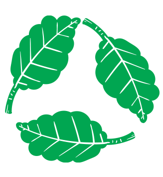 Terrestrial plant, Leaf, Branch, Organism, Tree