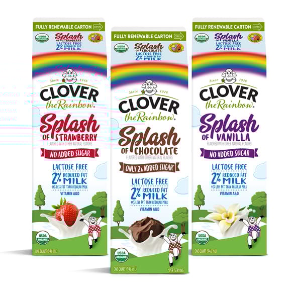 Clover Splash Family Image