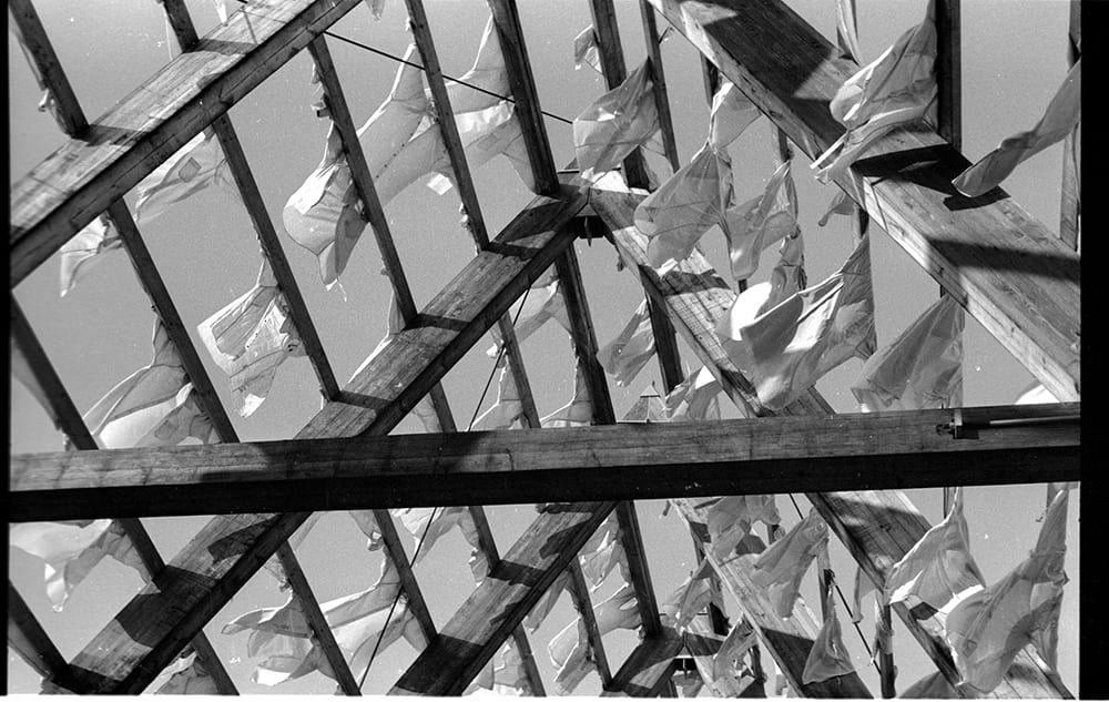 Material property, Wood, Black-and-white, Triangle, Style, Line, Plant, Wall, Rectangle