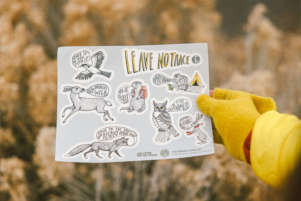 Leave No Trace sticker sheet