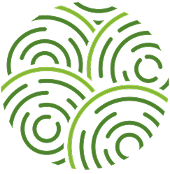 Circular logo with green concentric arcs, forming a dynamic, abstract pattern on a dark background.