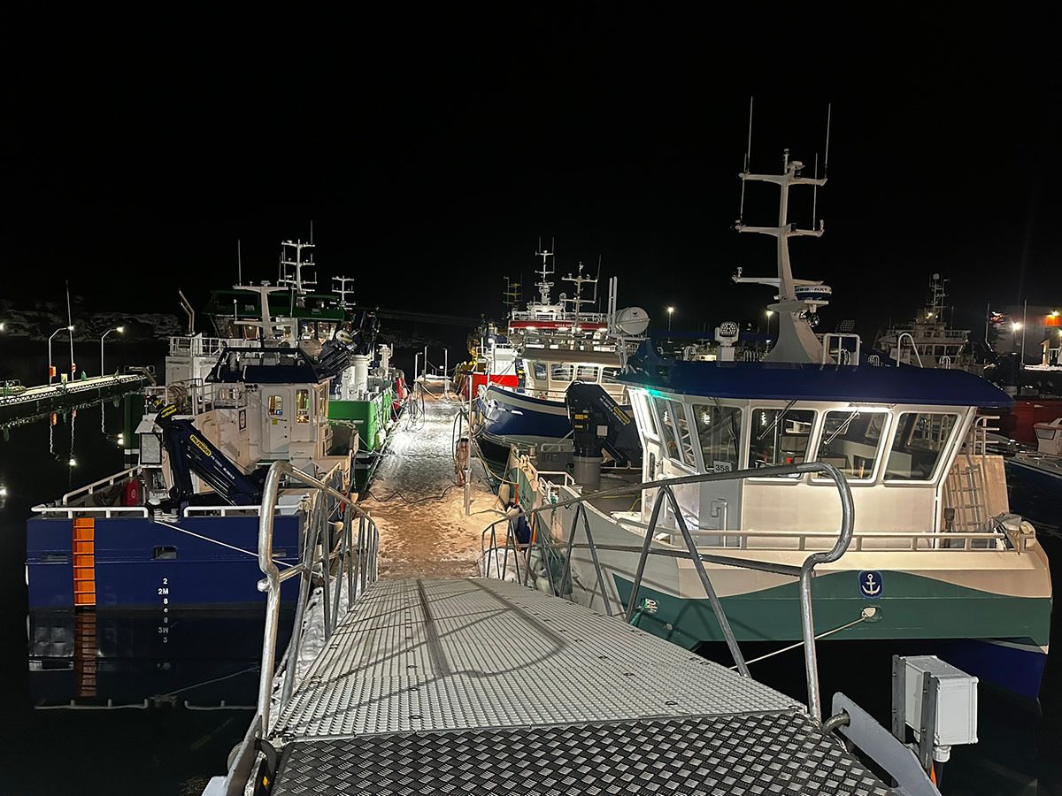 Illuminated boats docked at a pier at night, with a gangway in the foreground.