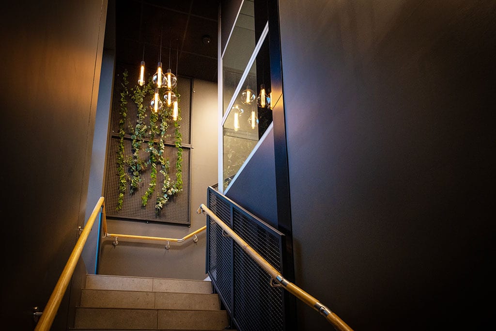 Dark staircase with industrial lights, hanging vines, and wooden handrails.