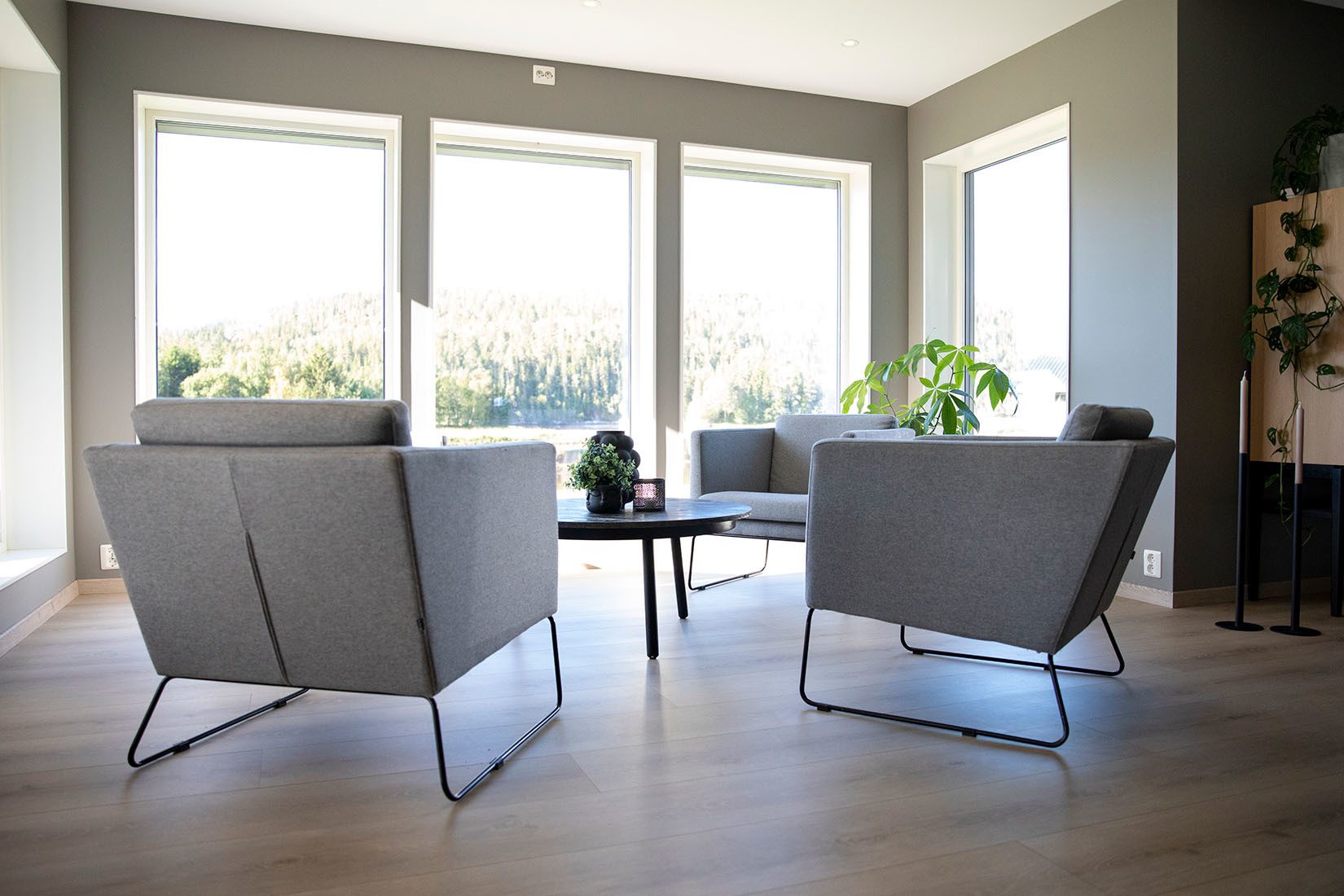 Living room, Interior design, Furniture, Comfort, Plant, Houseplant, Wood, Shade, Chair, Flooring