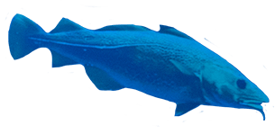 Azure, Gesture, Sleeve, Fin