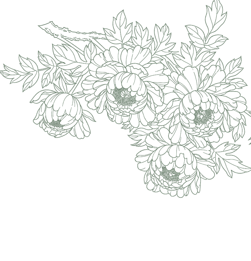 Stylized floral outlines in black and blue on a dark green background.