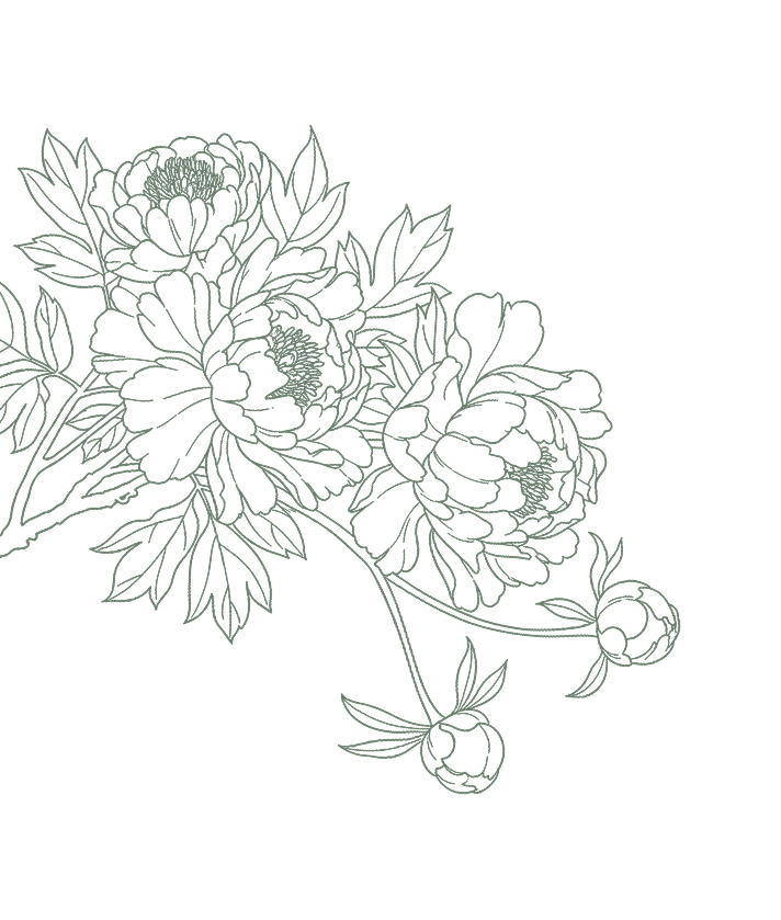 Botanical outline of peonies and leaves on dark green background.