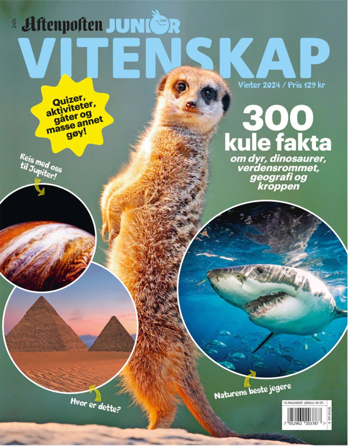 Advertising, Publication