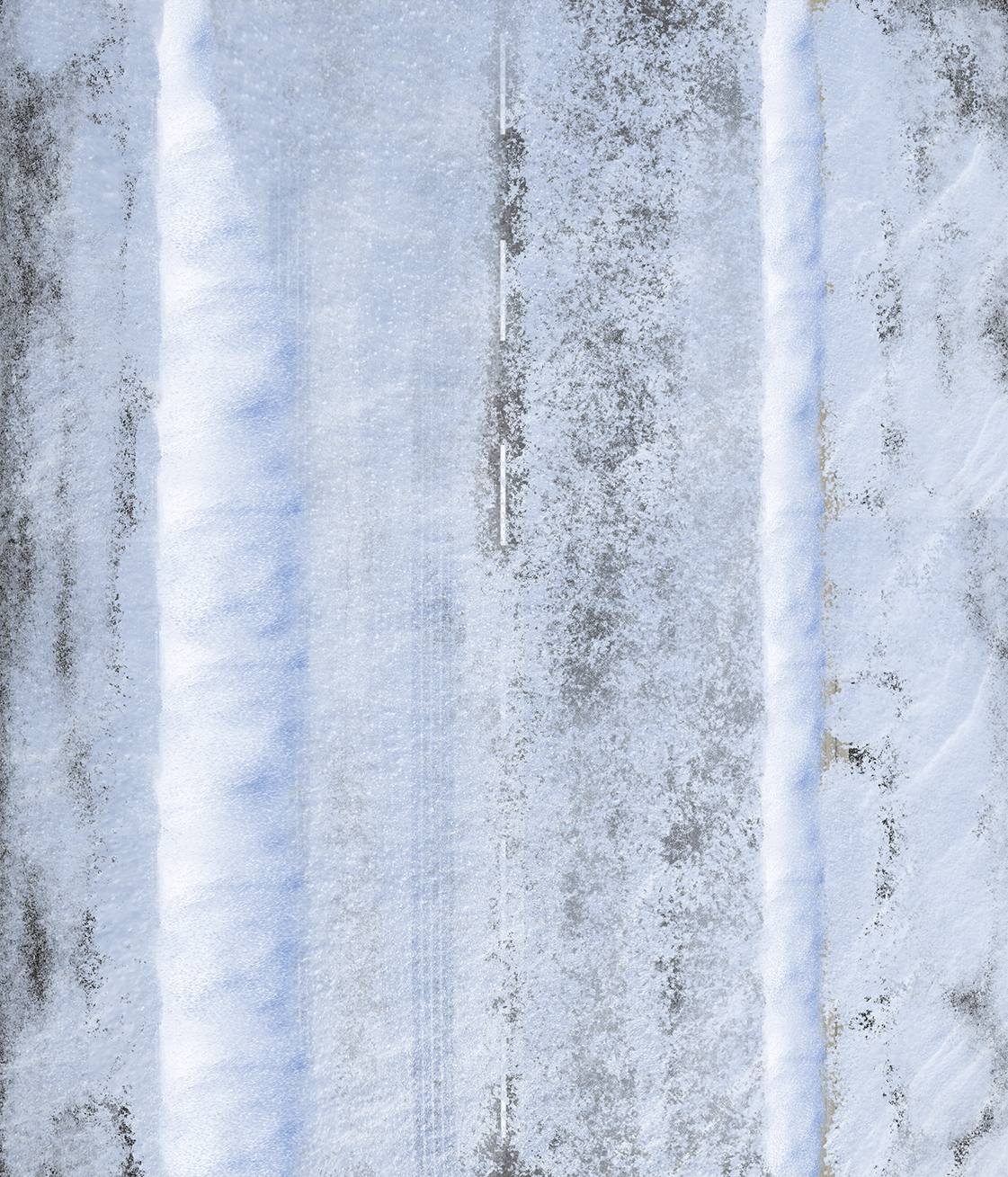 Plant, Branch, Wood, Grey, Trunk, Twig, Freezing, Tree