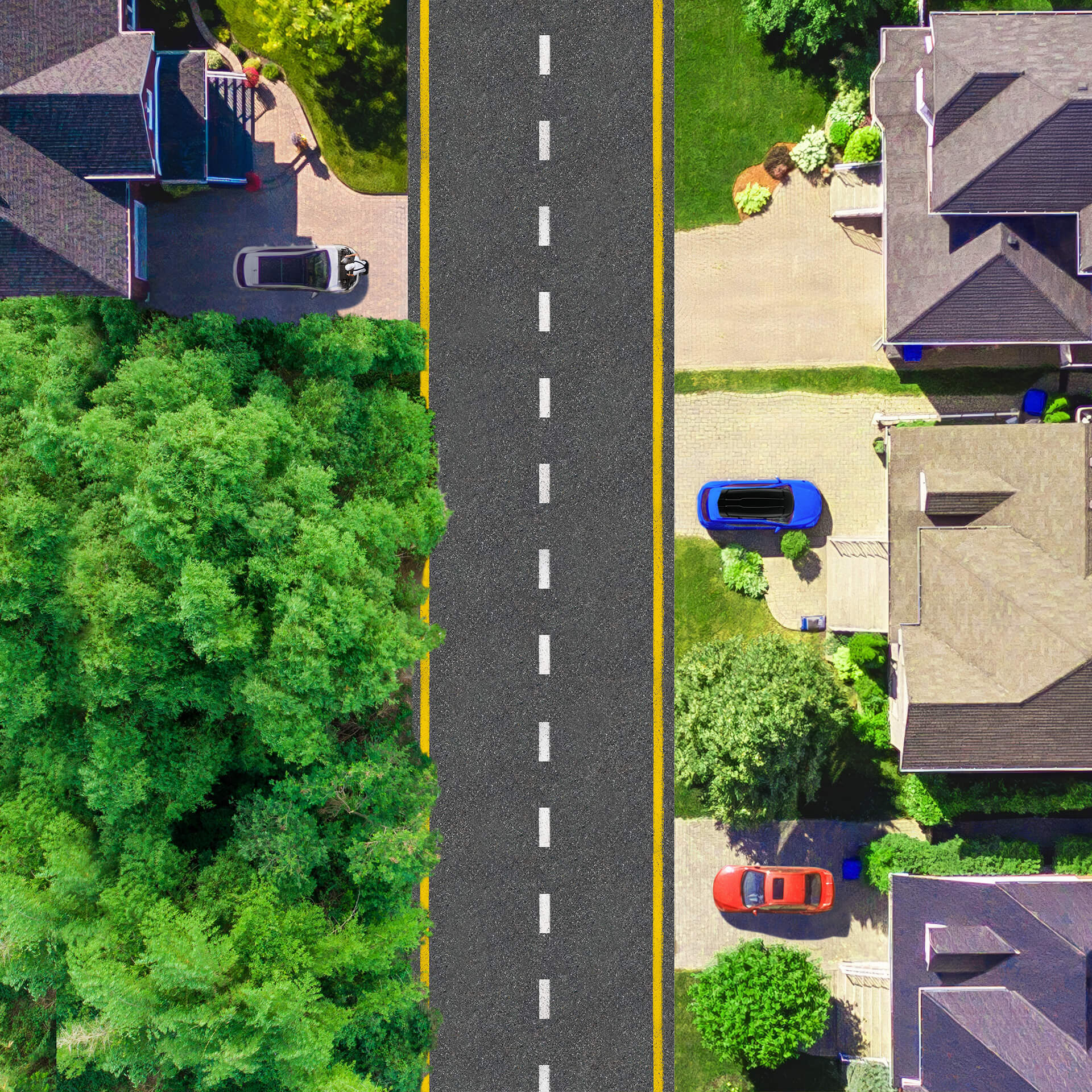 Land lot, Urban design, Residential area, Plant, Property, Green, Grass, Biome, Line, Tree